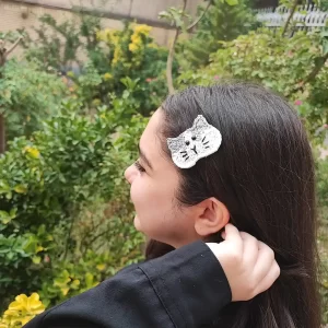 گیره پیشی